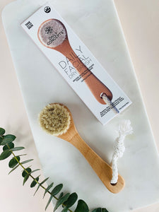 Daily Concepts Facial Vegan Dry Brush Daily Concepts